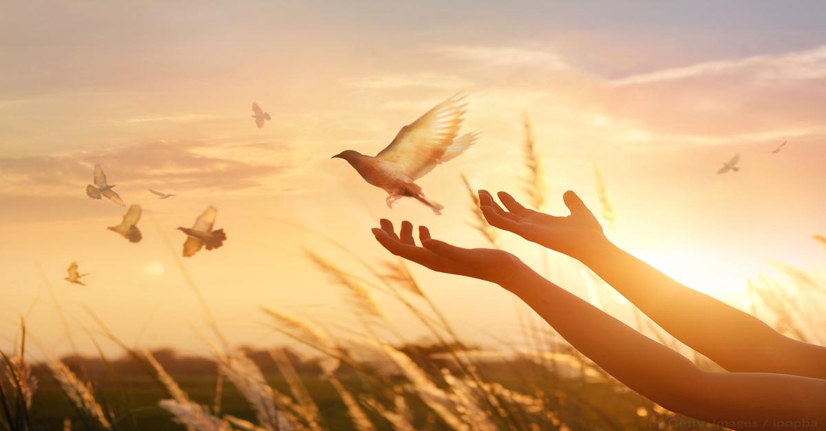 PÁSCOA, ESPERANÇA DE PAZ - Quando os homens de boa vontade se entenderão?